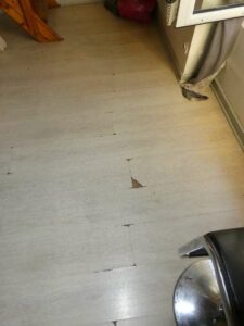 tournon-vente-Fleuriot-12-02-2026-102