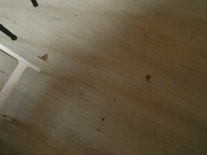 tournon-vente-Fleuriot-12-02-2026-103