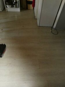 tournon-vente-Fleuriot-12-02-2026-104