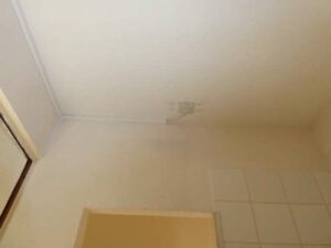 tournon-vente-Fleuriot-12-02-2026-114