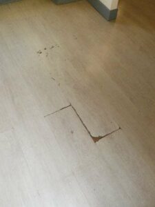 tournon-vente-Fleuriot-12-02-2026-144