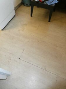 tournon-vente-Fleuriot-12-02-2026-145