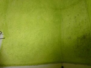 tournon-vente-Fleuriot-12-02-2026-168