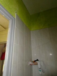 tournon-vente-Fleuriot-12-02-2026-174