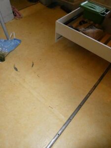 tournon-vente-Fleuriot-12-02-2026-201