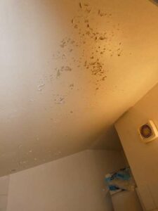 tournon-vente-Fleuriot-12-02-2026-68