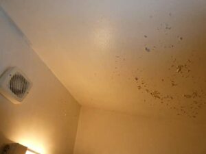 tournon-vente-Fleuriot-12-02-2026-69