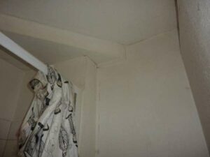 tournon-vente-LOT-10-15-Fleuriot-12-02-2026-13