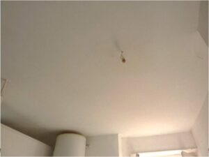 tournon-vente-LOT-10-15-Fleuriot-12-02-2026-18