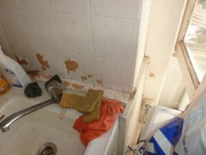 tournon-vente-LOT-10-15-Fleuriot-12-02-2026-25