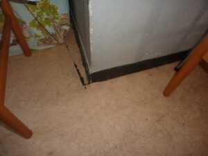 tournon-vente-LOT-10-15-Fleuriot-12-02-2026-46