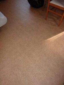 tournon-vente-LOT-10-15-Fleuriot-12-02-2026-47