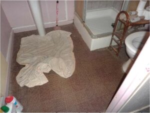 tournon-vente-LOT-10-15-Fleuriot-12-02-2026-59