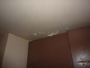 tournon-vente-LOT-10-15-Fleuriot-12-02-2026-76