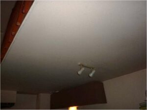 tournon-vente-LOT-10-15-Fleuriot-12-02-2026-77